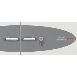 Phoenix Data Commander DS4623K / NT Fire 017- S120DIS