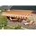 Spettmann Gelenkarmmarkise BASIS 350 x 250 cm orange