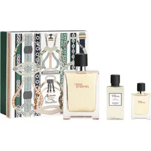 Hermès Terre Eau de Toilette 100 ml + Duschgel 80 ml Geschenkset