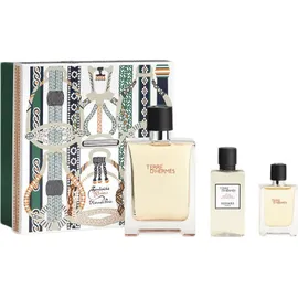 Hermès Terre Eau de Toilette 100 ml + Duschgel 80 ml Geschenkset