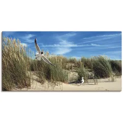 Leinwandbild ARTLAND "Möwe und Seeschwalbe in Dünenlandschaft", blau (farbe bild(er): blau), B:100cm H:50cm T:1,8cm, Canvas, Leinwand, Bilder, auf Keilrahmen gespannt