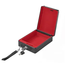 PRO PLUS ProPlus 540250 Stahltresor mit Halterung