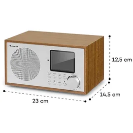 Auna Silver Star Mini Two Internet silber