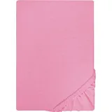 biberna 0077155 Jersey 180 x 200 - 200 x 200 cm pink