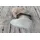 Buxtrade Erythritol Erythrit Zuckerersatz Kalorienfrei 2,5 kg Pulver