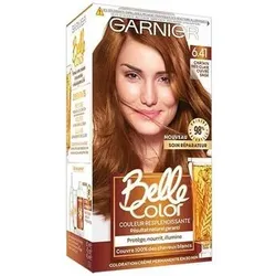 Garnier  Haarfärbung GAR-BCCTF  in Braun, Einheitsgrösse