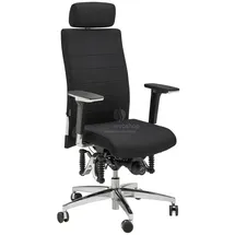 Haider Bioswing Bioswing 660 iQ Leder