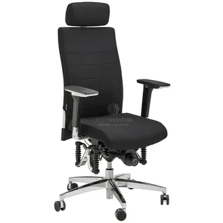 Haider Bioswing Bioswing 660 iQ Leder