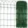 Floordirekt Gartenzaun Ziergeflecht 1000 x 65 cm Grün/Eisen