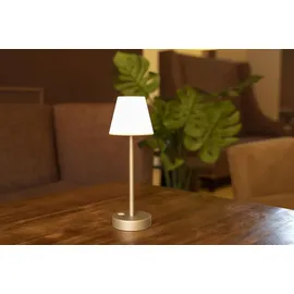 Newgarden Lola Slim 30 Roségold