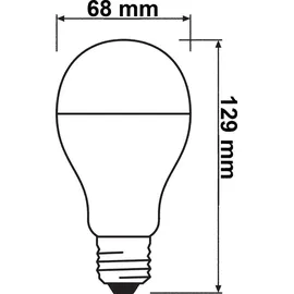 DeLock LED-Birne 150W E27 6500 K 1 St.
