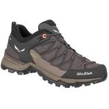 Salewa Mountain Trainer Lite GTX Damen