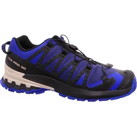 Salomon XA Pro 3D V9 GTX Herren Blue Print/Surf The Web/Lapis Blue 47 1/3