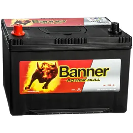 Banner Power Bull 95Ah 12V