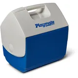 Igloo Kühlbox 6 l