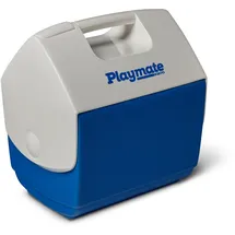 Igloo Kühlbox 6 l