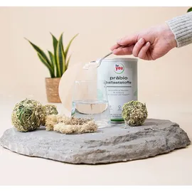 For You eHealth GmbH For you präbio ballaststoffe Pulver