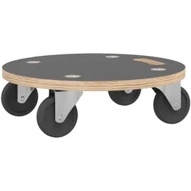 vidaXL Transportroller 250 kg