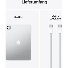 Apple iPad Pro 11" (5. Generation 2024) 2 TB Wi-Fi Silber