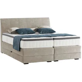 Livetastic Novel Boxspringbett 160 x 200 cm H2 Hellgrau