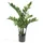 Emerald Künstliche Zamioculcas Glücksfeder 70 cm