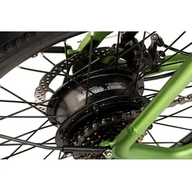 ADORE C-200 2023 20 Zoll RH 42 cm Unisex grün