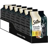 Sheba Fresh & Fine Huhn, Truthahn und Ente 6 x 50 g