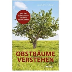 Obstbäume verstehen