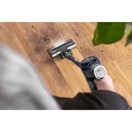 Concept VP6040 ICONIC ANIMAL schwarz