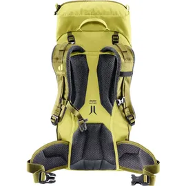 Deuter Climber 22 l sprout/linden