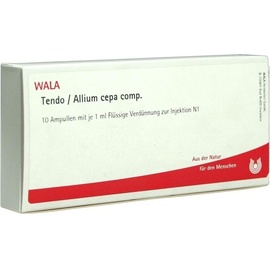Wala TENDO/ALLIUM cepa COMP