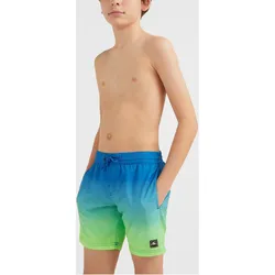 Badehose Cali Gradient 14'' Swim Shorts - blau BLAU|GRÜN 158-164 cm 14J