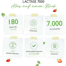 Vit4ever Lactase 7000 Tabletten 180 St.