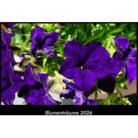 Vero Kalender Blumenträume 2026 Fotokalender DIN A3 von Tobias