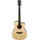 IBANEZ ACFS300CE OPS open pore