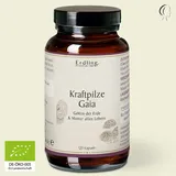 Waldkraft Erdling Kraftpilze Gaia Kapseln 120 St