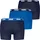 Puma Boxershorts MEN EVERYDAY BASIC BOXERS 3P« 3er Pack, Komfortabler elastischer Logobund Gr. M,