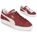 cabernet-puma white 43