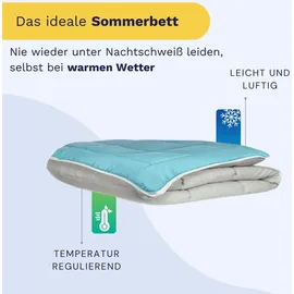 Poyet-Motte Hudson Duvet L Managed Microfaser 200g/m 220x240cm Pebble & Lac Poyet Motte