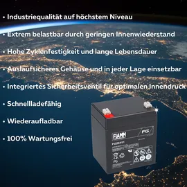 Fiamm FG20451 Pb 12V 4500 mAh 1 St.