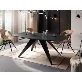 WFL GROUP Ausziehtisch 80 x 76 x 160 cm schwarz