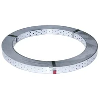GAH Alberts Alberts Rispenband | 50m Stahl