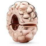 Pandora Clip Charm Moments 782716C00