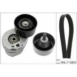 INA Keilrippenriemensatz für Ford Transit 529039010