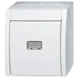 Busch-Jaeger Wipptaster,mit Beleuchtung 2621 WGL-54