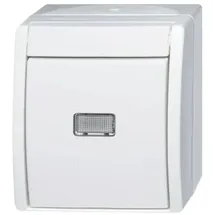 Busch-Jaeger Wipptaster,mit Beleuchtung 2621 WGL-54