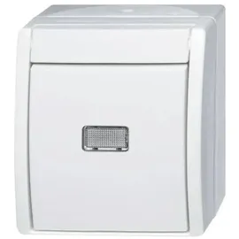 Busch-Jaeger Wipptaster,mit Beleuchtung 2621 WGL-54