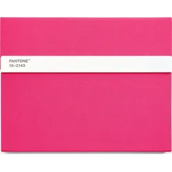 Pantone Skizzenbuch mit Bleistift L 160 Seiten rosa glatt 100 g/m2