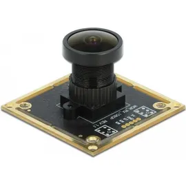 DeLock USB 2.0 Kameramodul mit Wide Dynamic Range 1,92 Megapixel 120° V6 Fixfokus