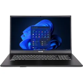 WORTMANN Terra Mobile 1716R Intel Core i3-1315U 16 GB RAM 500 GB SSD Win11 Pro